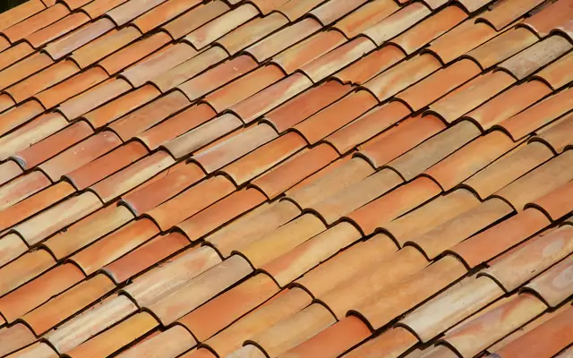 Example photo: Rows of curved clay barrel tiles